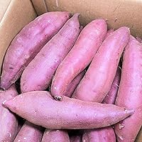 Amazon.co.jp: 【予約9月上旬発送】 さつまいも 5kg 紅はるか