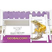 Amazon | REPSi(レプシー) ジオグラウンド 爬虫類用サークル