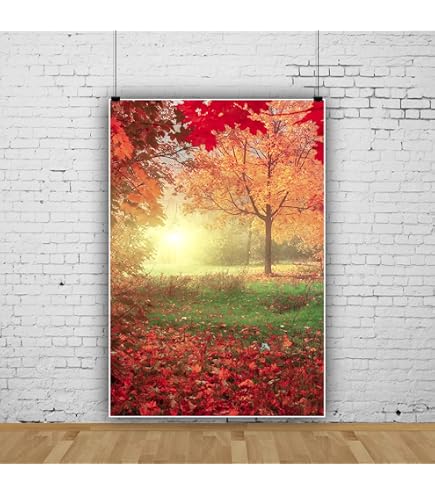 Amazon | Qinunipoto 撮影用 背景布 秋 落ち葉の紅葉撮影 背景 背景幕