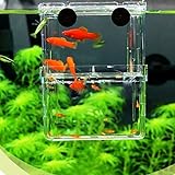 Amazon Eforcar 1pcs 多機能 魚 繁殖隔離ボックス 金魚 水槽 孵化 産卵箱 水族館アクセサリー S Eforcar 繁殖用タンク 通販