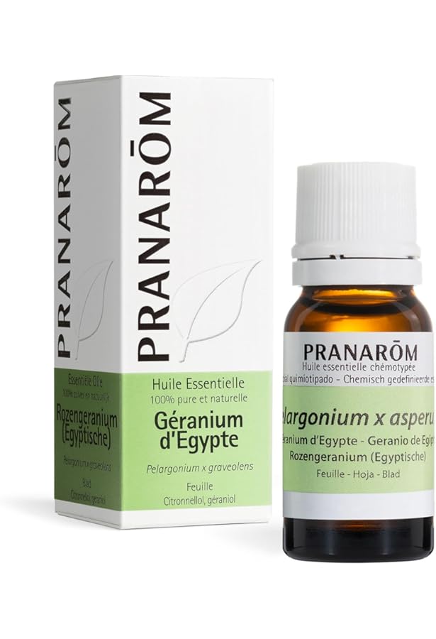 Amazon | 健草医学舎 (KENSO ケンソー) プラナロムお試しセット