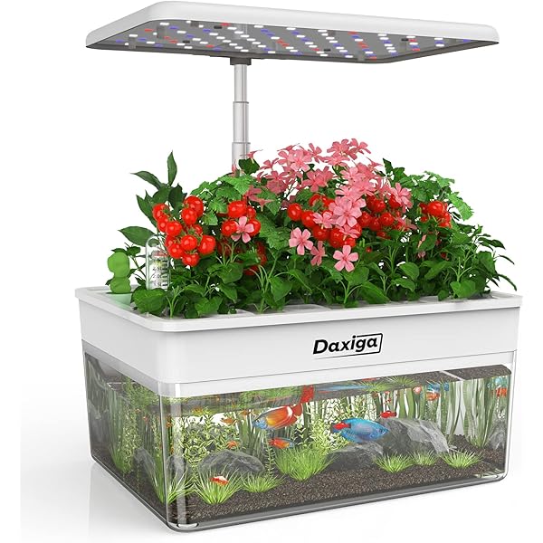 aquarium garden kit