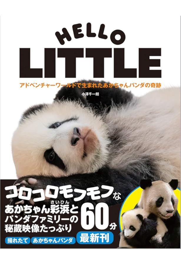 ADVENTURE WORLD PANDAS ハロー彩浜とパンダファミリー | 小澤 千一朗