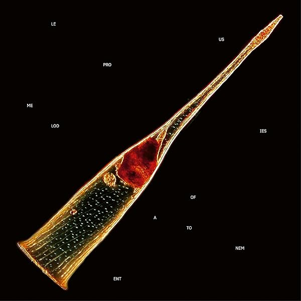 Amazon.co.jp: Tall Poppy Syndrome: ミュージック