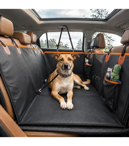 Amazon.co.jp: BESTEN 犬 ブースターシート サンシェード付き 強力な