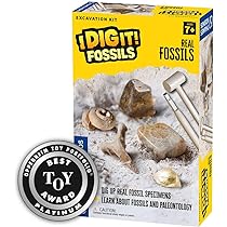 Amazon.co.jp: テムズ&コスモス I Dig It!トレジャー – エジプト