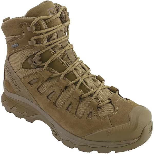 Amazon.co.jp: LOWA Zephyr MK2 GTX HI TF Coyote OP , Dark Brown