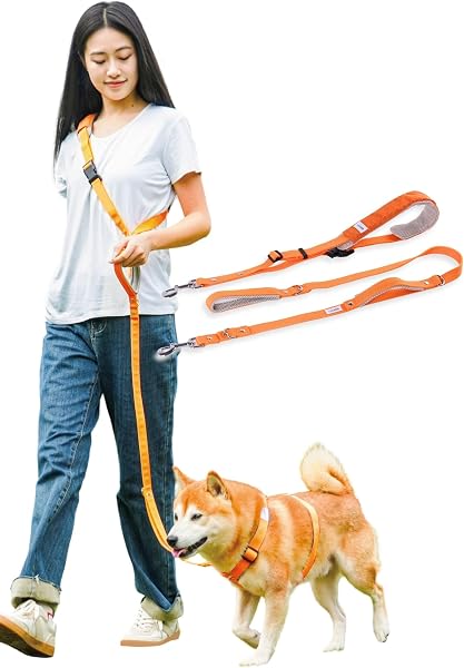 LaLUCA GOODS Dog Shoulder Leash for Small Dogs, Medium Dogs, Large Dogs, Advance More, Handsfree, Orange, B Set, M - 1