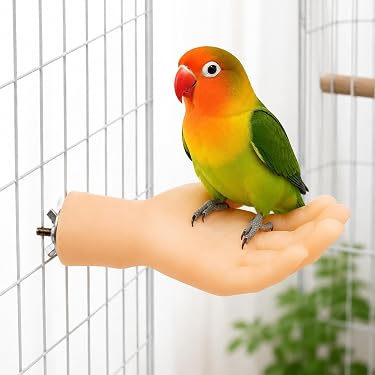 Amazon.co.jp 最新リリース: 鳥用止まり木 の新着ランキングです。