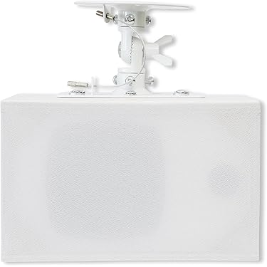 Amazon.co.jp ほしい物ランキング: 天井・壁埋込型スピーカー で