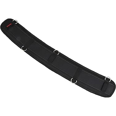 Amazon.co.jp 売れ筋ランキング: バックサポートベルト の中で