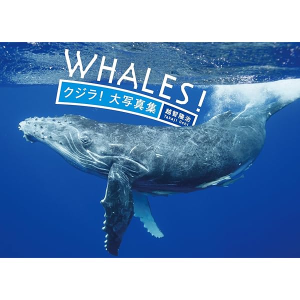 クジラの海 | 岩合 光昭 |本 | 通販 | Amazon