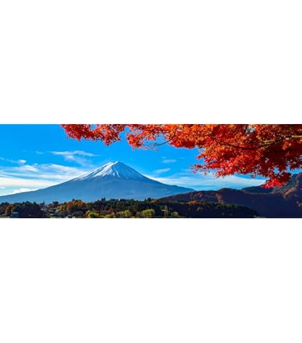 Amazon.co.jp: 特大上下2枚仕様L版三ツ峠より望む朝日に染まる富士の 