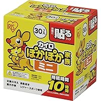 アイリスオーヤマ(IRIS OHYAMA) 使い捨てカイロ 貼る ミニサイズサイズ 30枚 ぽかぽか家族
