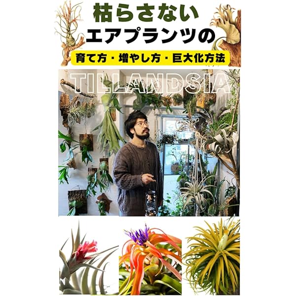 藤川史雄のティランジアブック エアプランツ100種の育て方 | 藤川 史雄