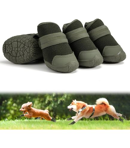 Amazon.co.jp: BarkBox イエロー Crocs ドッグシューズ – 暗闇で光る犬