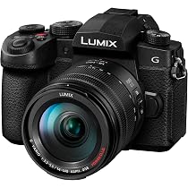 Amazon.co.jp: パナソニック (Panasonic) ミラーレス一眼カメラ LIMIX 