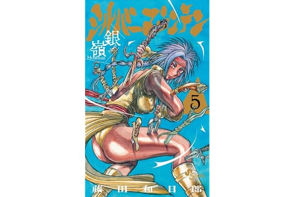 シルバーマウンテン (5)