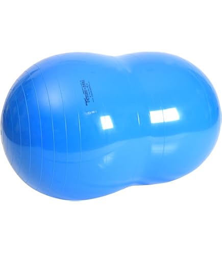 Amazon.co.jp: [ ギムニク ] Gymnic バランスボール 55cm