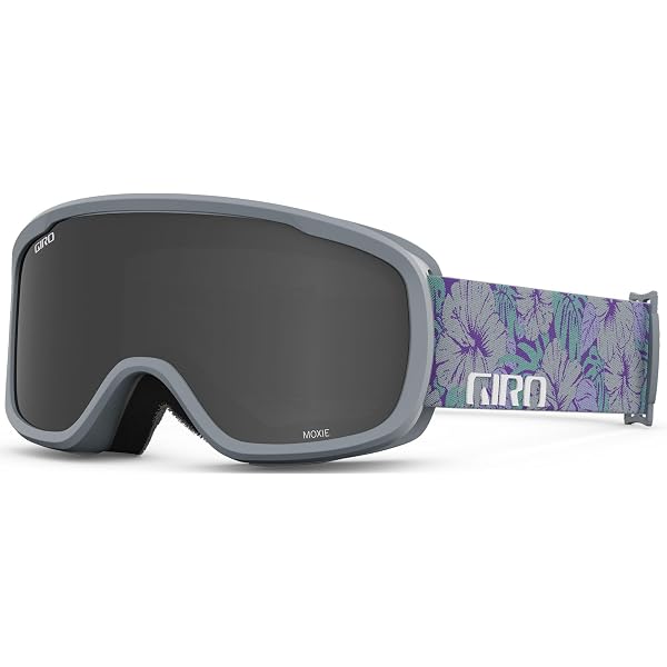 Amazon | Giro Contour RS Adult Snow Goggle - Black Mica Strap with