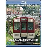 近鉄 レイルビュー 運転席展望　Vol.11 【ブルーレイ版】 [Blu-ray]
