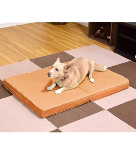 Amazon | 老犬用 ペットケアマットNEO/L (オレンジ) | 爽快潔リビング