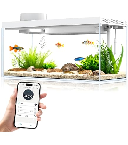 Amazon | せせらぎビオトープ 【水替え不要スリム水槽用】45cm型