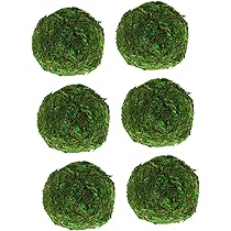 Amazon｜DECHOUS 6個 乾燥苔玉 フェイクグリーンモス ガーデン
