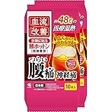 【まとめ買い】血流改善 腰ホットン つらい 腰痛 を温熱でやわらげる 衣類に貼る 10枚入×2個 小林製薬