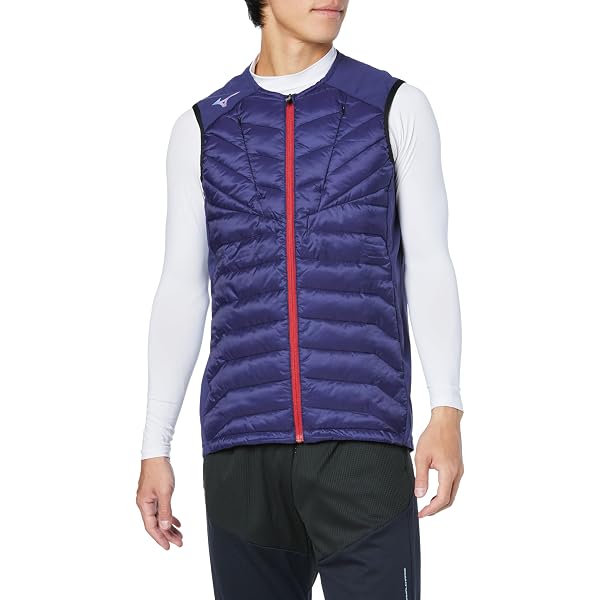 Amazon.co.jp: [ザノースフェイス] レッドランベスト メンズ NY82174