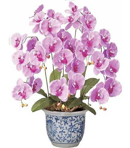 Amazon｜光の楽園 フェイクグリーン 造花 フレッシュ胡蝶蘭3本立W