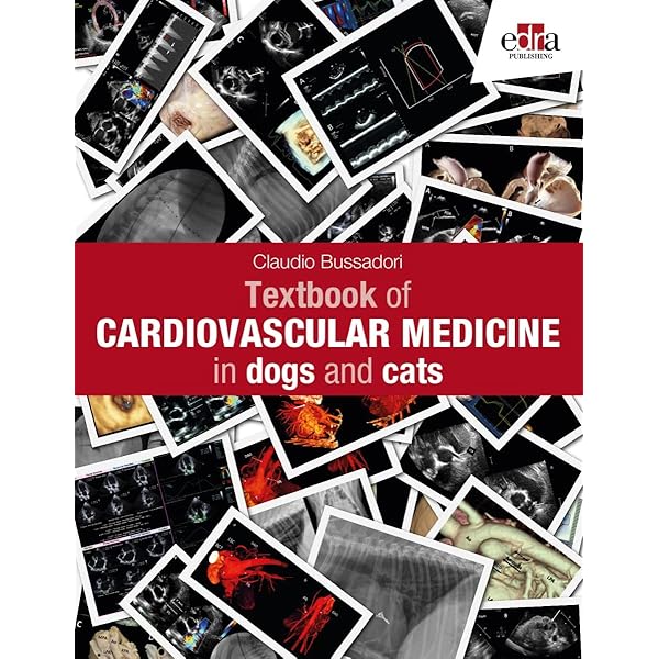 語学・辞書・学習参考書 Veterinary Image Guided Interventions Amazon | Veterinary Image-Guided Interventions | Weisse, Chick