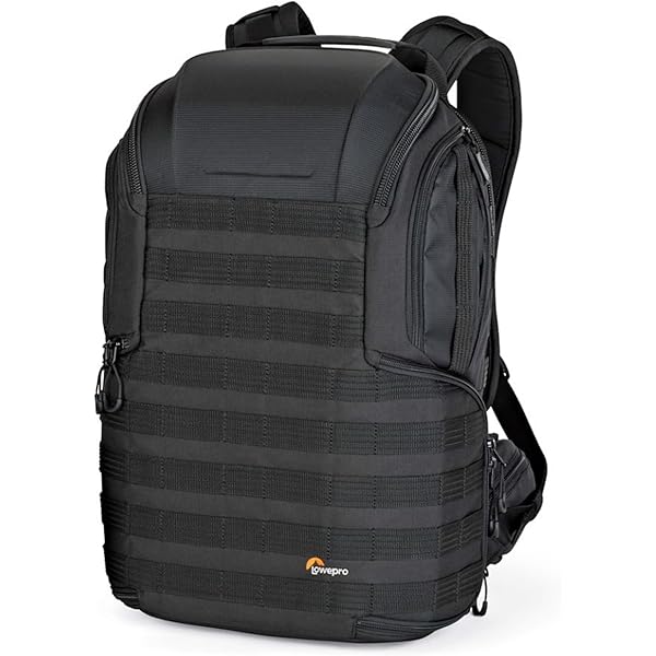 Amazon.co.jp: Lowepro ProTactic BP 350 AW II 16L グリーンライン