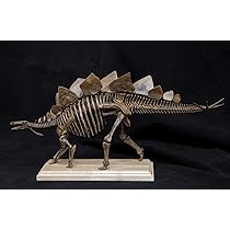 Amazon | VWUVWU 1/20 サイズ ステゴサウルス 恐竜 絶滅 古生物