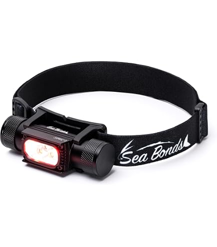 Amazon.co.jp: Ledlenser(レッドレンザー) H5 Core ヘッドライト LED