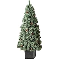 71wzsEJAgwL._AC_UL210_SR210,