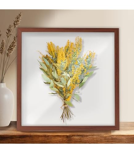 Amazon.co.jp: [LSDZW] ボックスフレーム 標本箱立体額 30*40cm 厚み