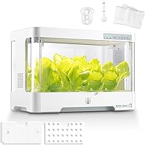 ✏おいしい野菜研究室✏ 洗わず食べられる・室内水耕栽培＞ レタス4種 ｜ 農薬不使用 4種