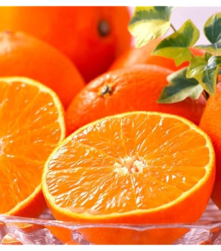 Amazon.co.jp: 紅まどんな 紅マドンナ ギフト お歳暮 みかん 愛媛県産