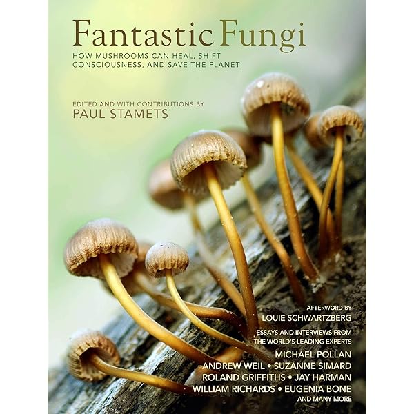 Amazon | Psilocybin Mushrooms in Their Natural Habitats: A Guide