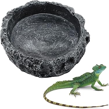 ぽん　爬虫類水入れ　10個セット ぽん 爬虫類水入れ 10個セット 楽天市場】爬虫類 水入れの通販