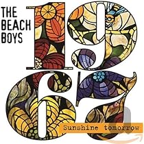 ◇ The Beach Boys / ”Feel Flows” 輸入盤 The Beach Boys Feel Flows