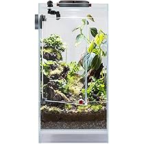 Amazon.co.jp: LEDSTAR インフィニティ ハイラエア テラリウム