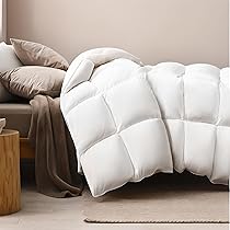 71xBnbccpvL._AC_UL210_SR210,