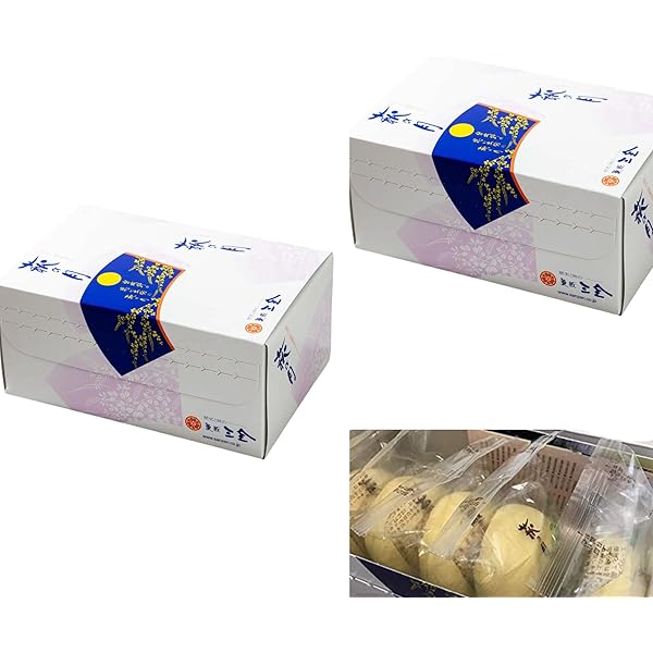 Amazon.co.jp: 【東北・仙台の有名お菓子】萩の月 5個入り お中元