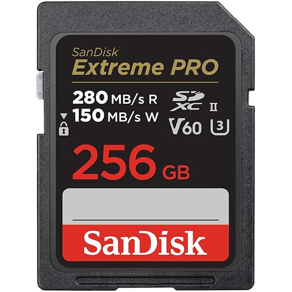 Amazon | SanDisk (サンディスク) 256GB Extreme PRO SDXC UHS-I
