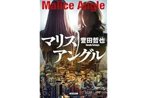 マリスアングルの表紙