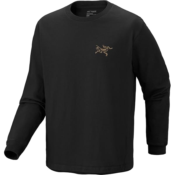 Amazon | [アークテリクス] Tシャツ 長袖 ロンT レギュラーフィット
