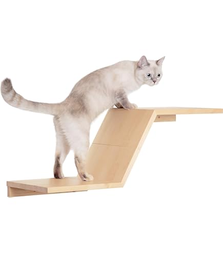 キャットウォーク 6つセット 猫用 キャットステップ 壁掛け式 キャットタワー Amazon | DoubleTT キャットウォーク 6つセット 猫用 キャット