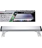 Amazon | 寿工芸 コトブキ工芸 フラットLED ツイン 600 | Kotobuki
